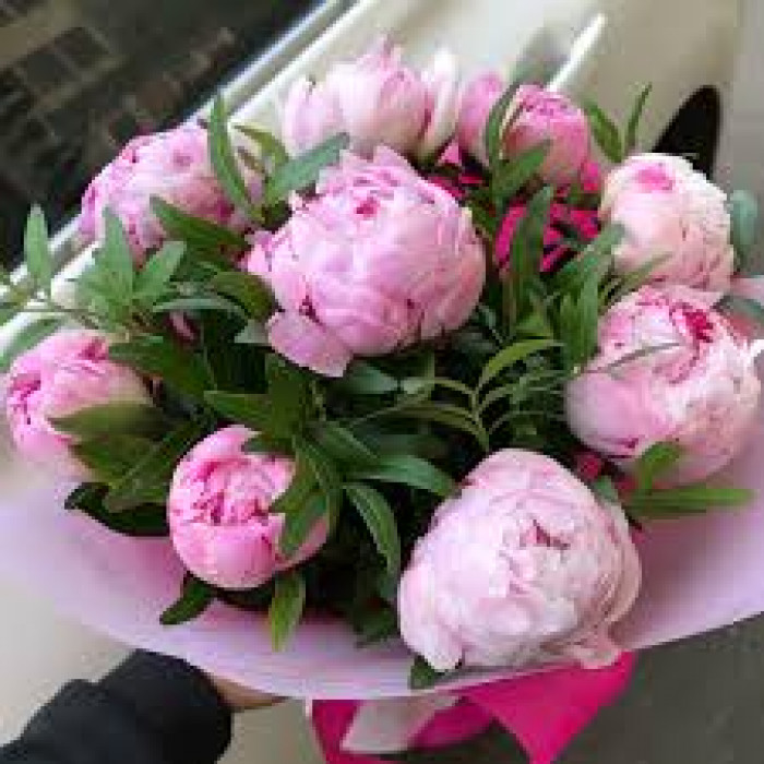 Пион древовидный в Степногорске