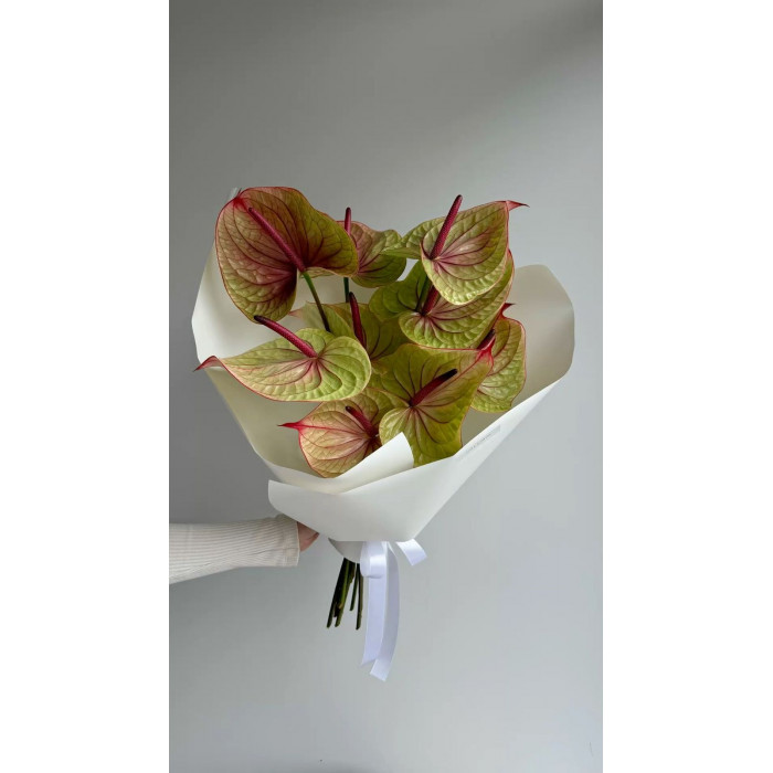 Антуриумы в Степногорске