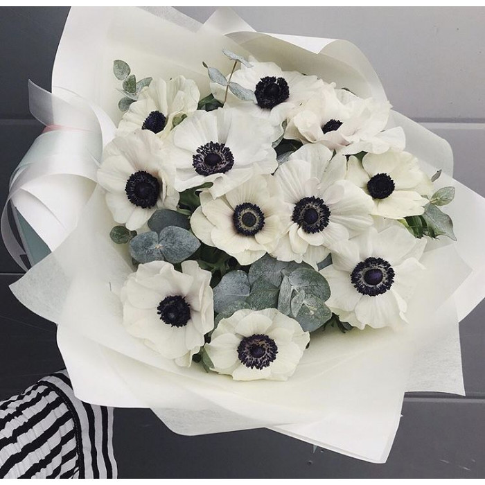 Анемоны в Степногорске