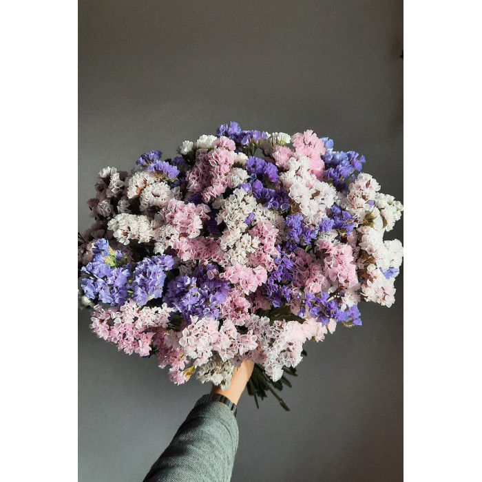 Статица (Лимониум) в Степногорске