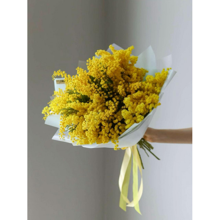 Мимоза в Степногорске