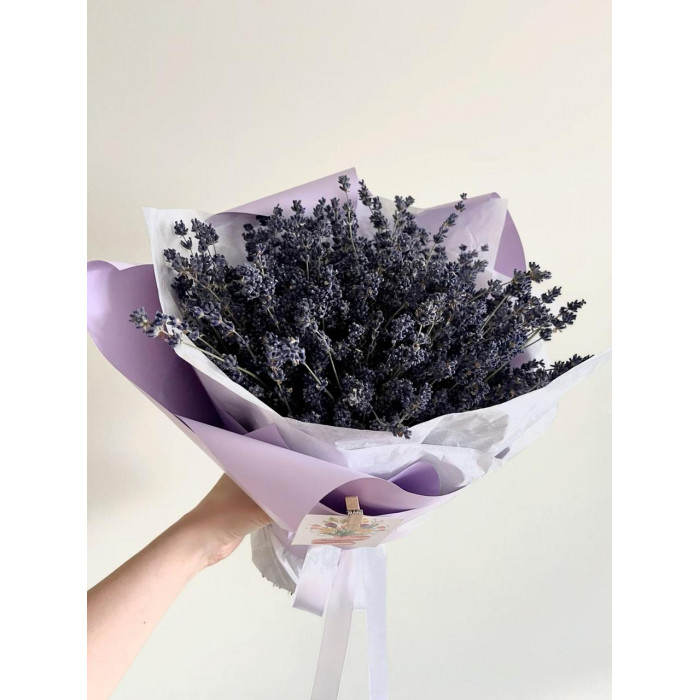 Лаванда в Степногорске