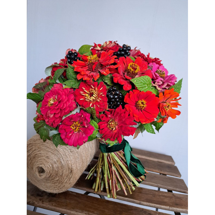 Циния в Степногорске