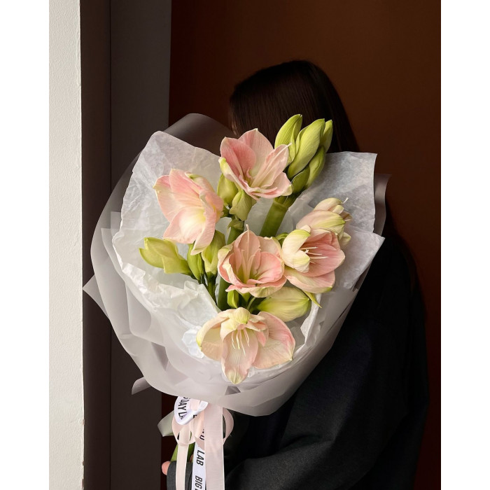 Амариллис в Степногорске