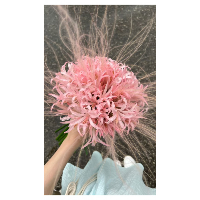 Нерине в Степногорске