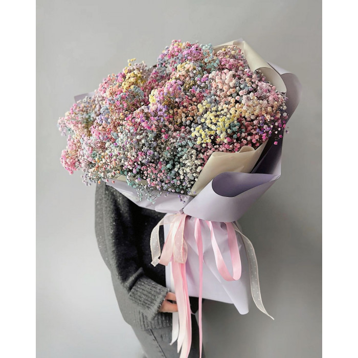 Гипсофила цветная в Степногорске