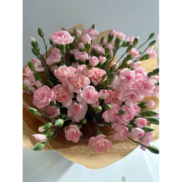 Кустовые гвоздики в Степногорске