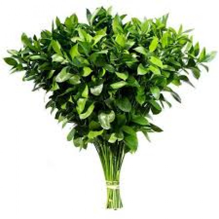 Рускус в Степногорске